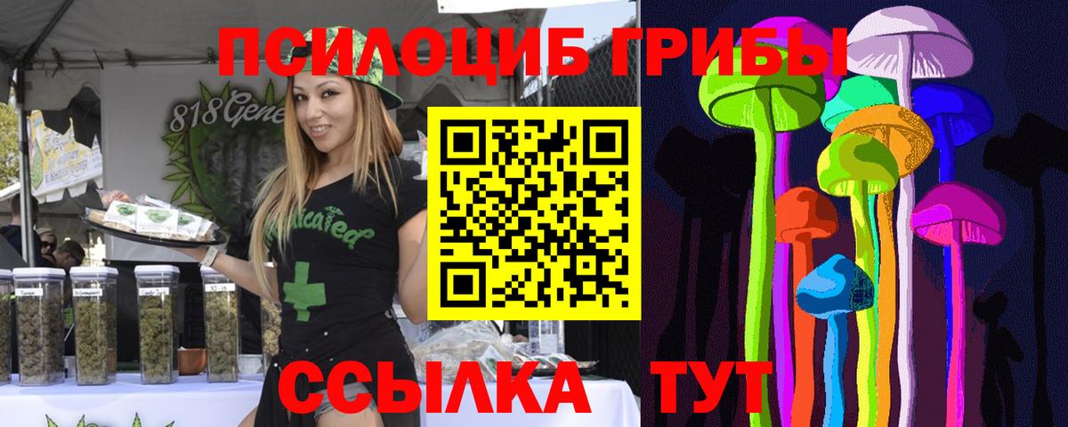 Астрахань  Галлюциногенные грибы прущие грибы  Вход с VPN 