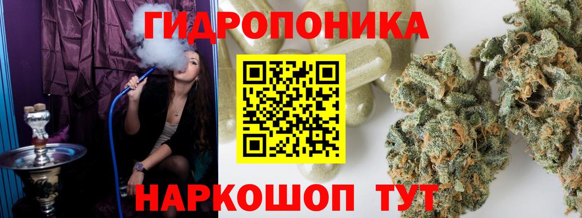 Шишки марихуана конопля Астрахань